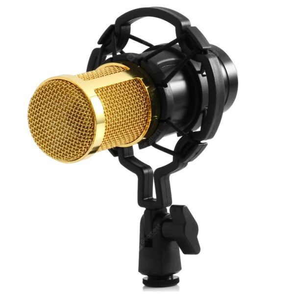 میکروفون حرفه ای BM-800